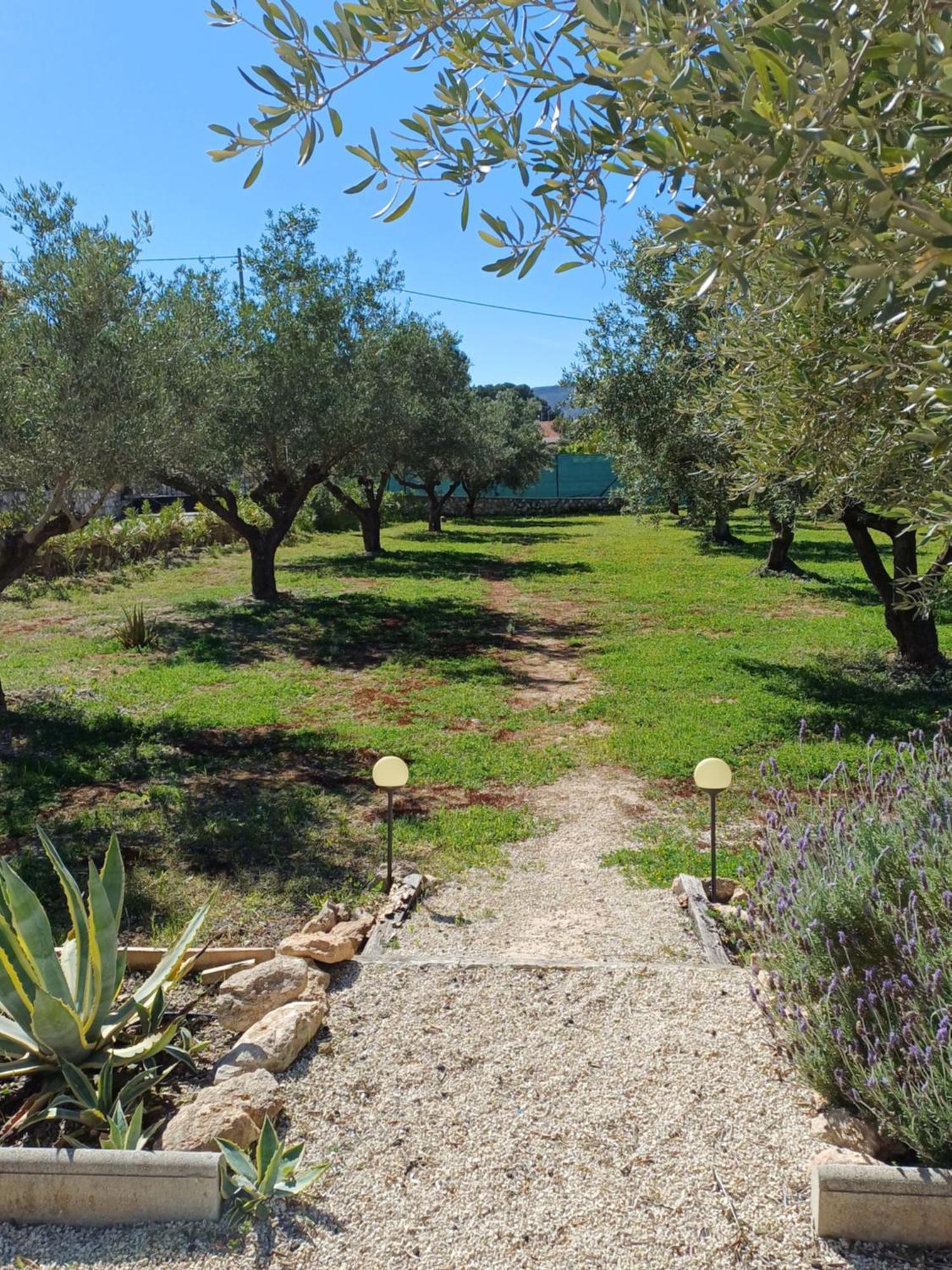 B&B Casa Vitalidad Ontinyent Exteriör bild