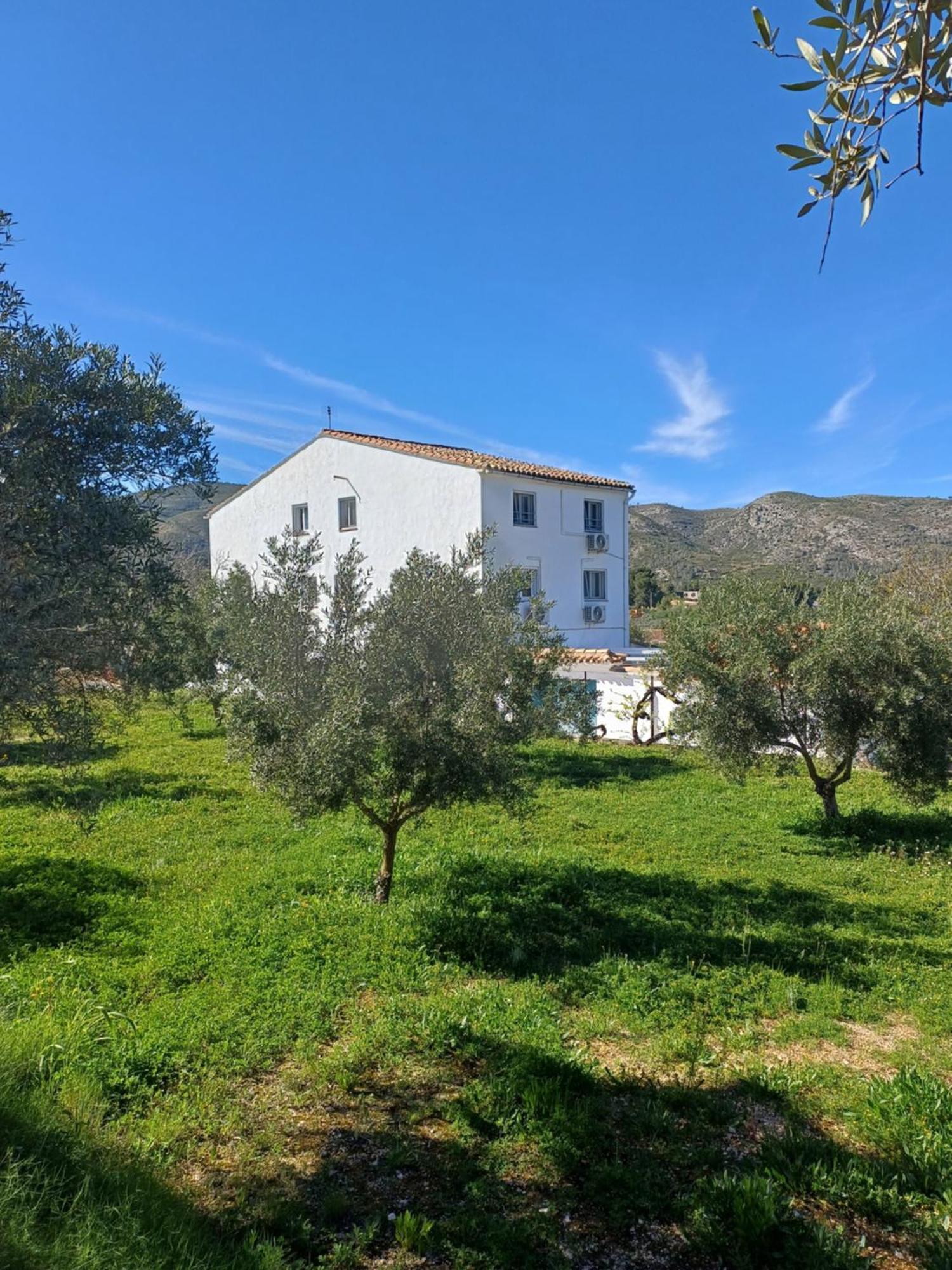 B&B Casa Vitalidad Ontinyent Exteriör bild