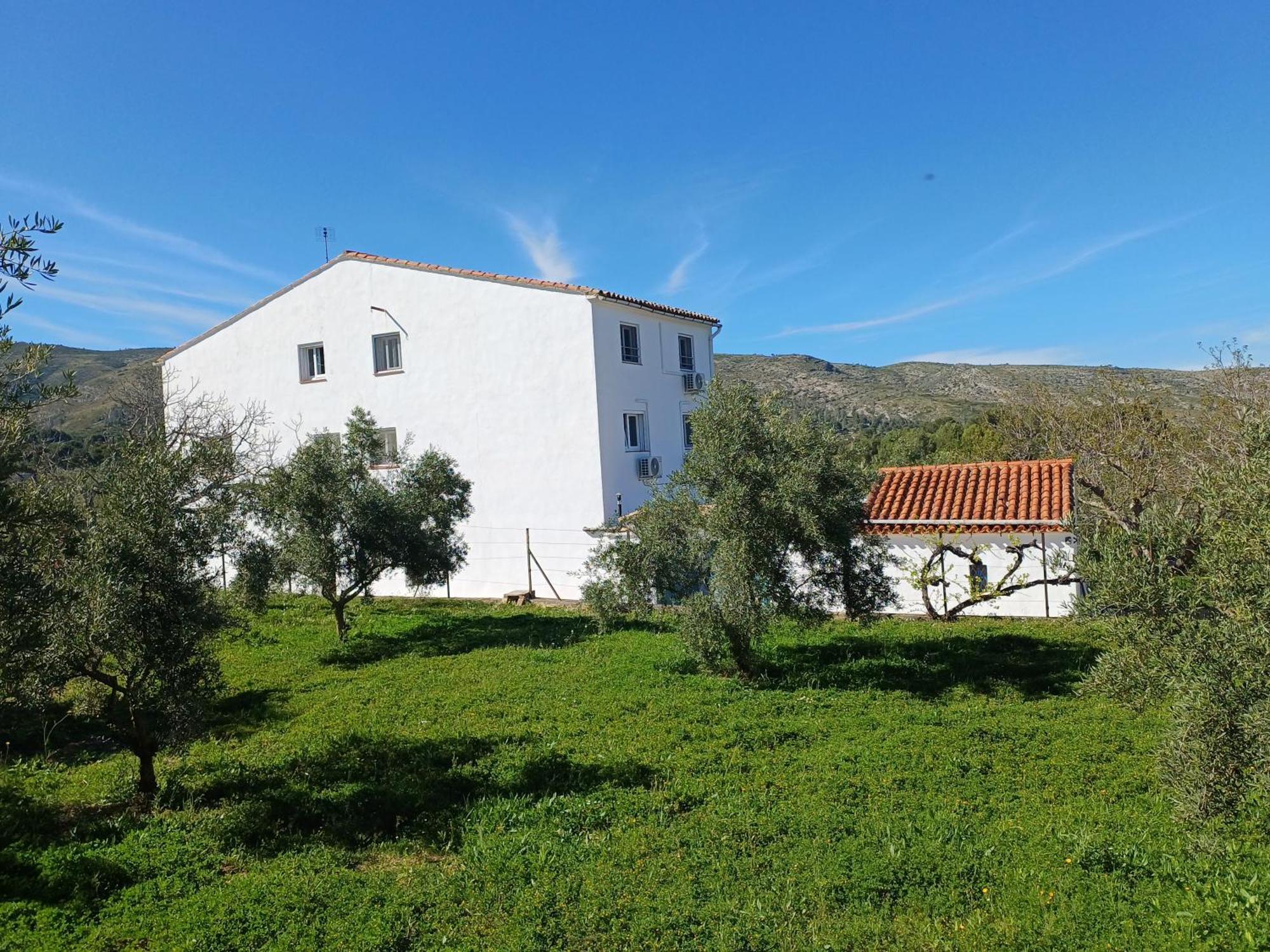 B&B Casa Vitalidad Ontinyent Exteriör bild